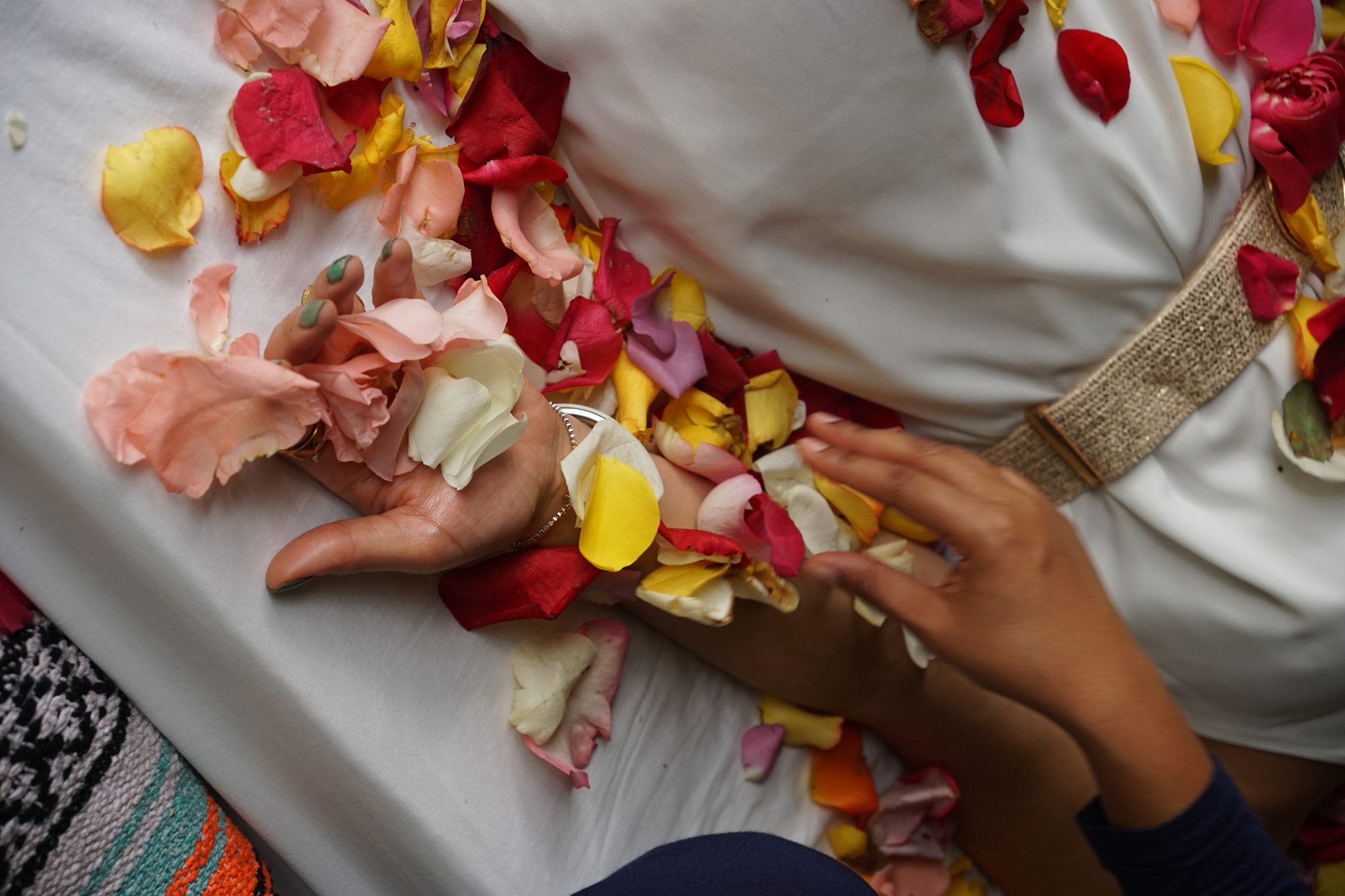Open hands resting on white linen, cradling rose petals in pink, gold and red.